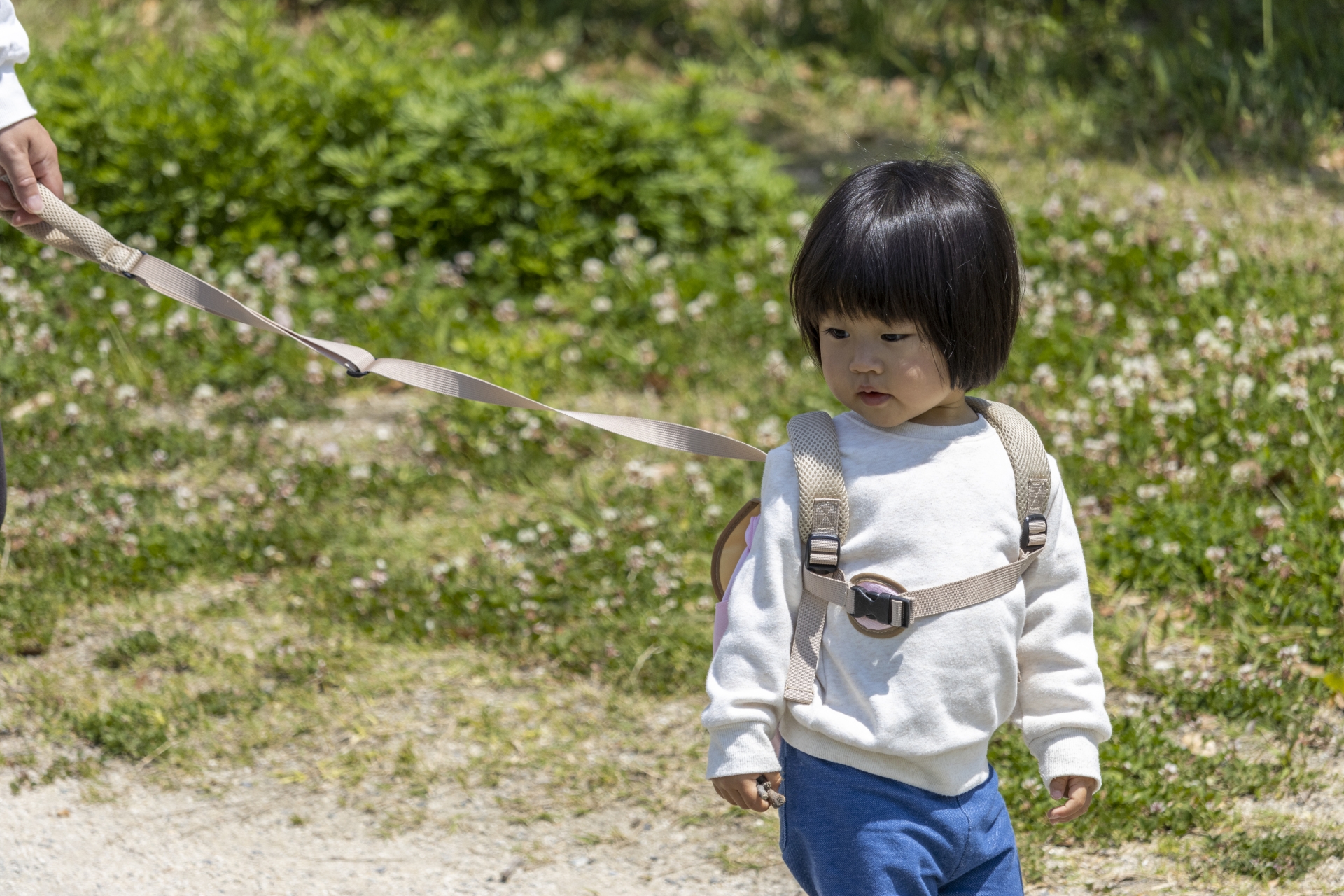 子供用ハーネスはいつから使える?年齢の目安と理由